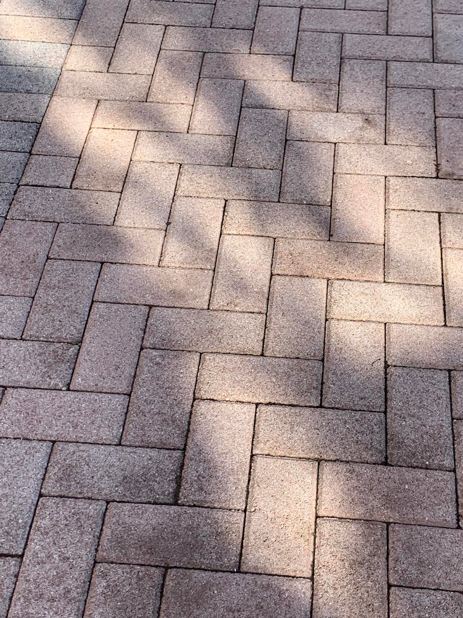 476356609_623698153781595_6650304740536572950_n.jpg